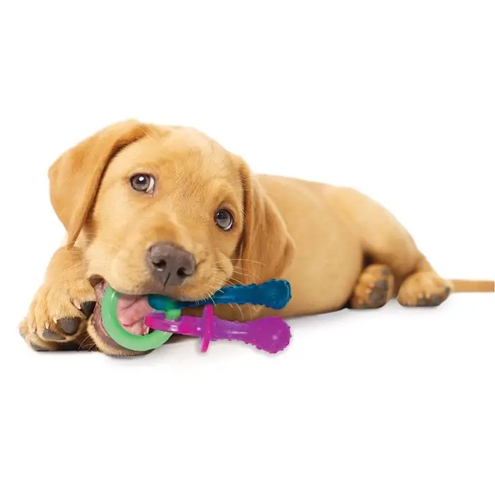 Kampanjpris Nylabone Puppy Teething Pacifier För Valpens Tänder
